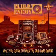 public-enemy