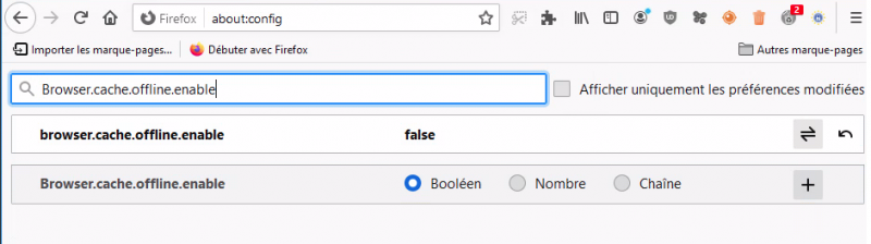 browser cache offline enable false